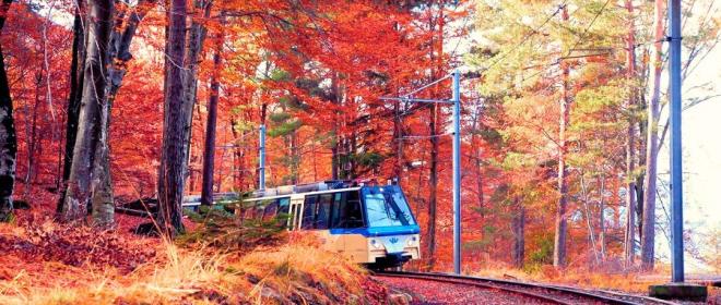 casavanni.ossolacollection en romantic-autumn-weekend-foliage-train-n2 012